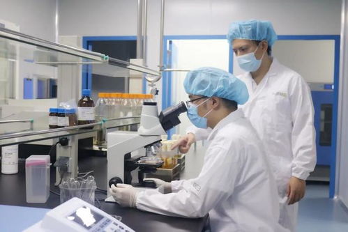 煉就一雙慧眼,寶山環(huán)上大科技園如何實現(xiàn) 1 到 10 的更快突破